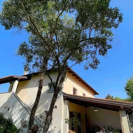 Angiolina * Marina di Castagneto Carducci