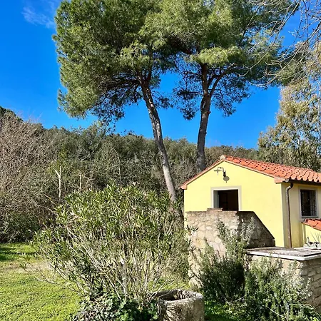 Angiolina Apartment