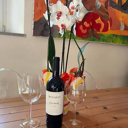 Angiolina Apartment